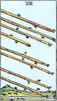 Tarotkarte Acht der Stäbe