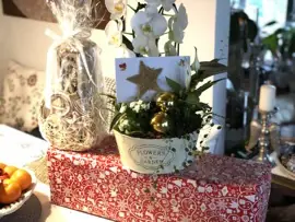 Wünsche für Marion und Pavol