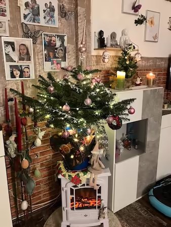 Weihnachtsbaum für Marion