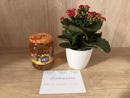 Besuch – vielen Dank für die Geschenke!