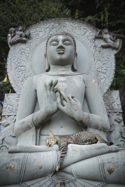 Meditation mit Hypnose
